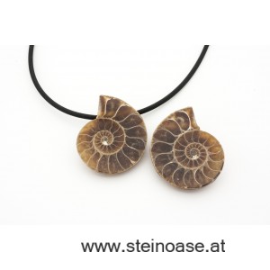 Anhänger Fossil / Ammonite